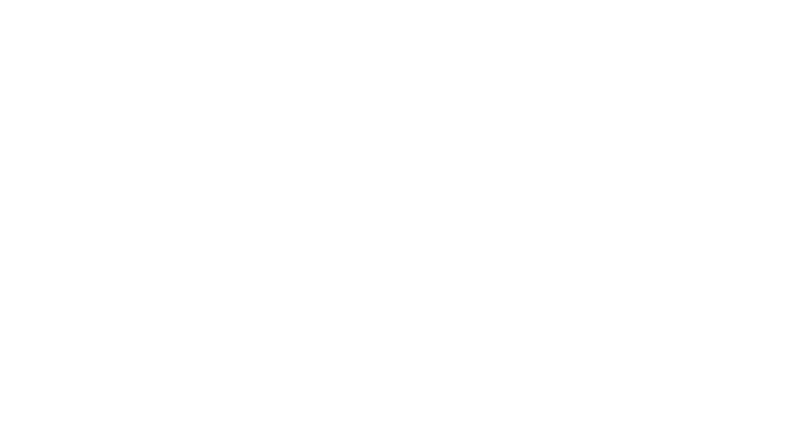 Selected partner logo 1