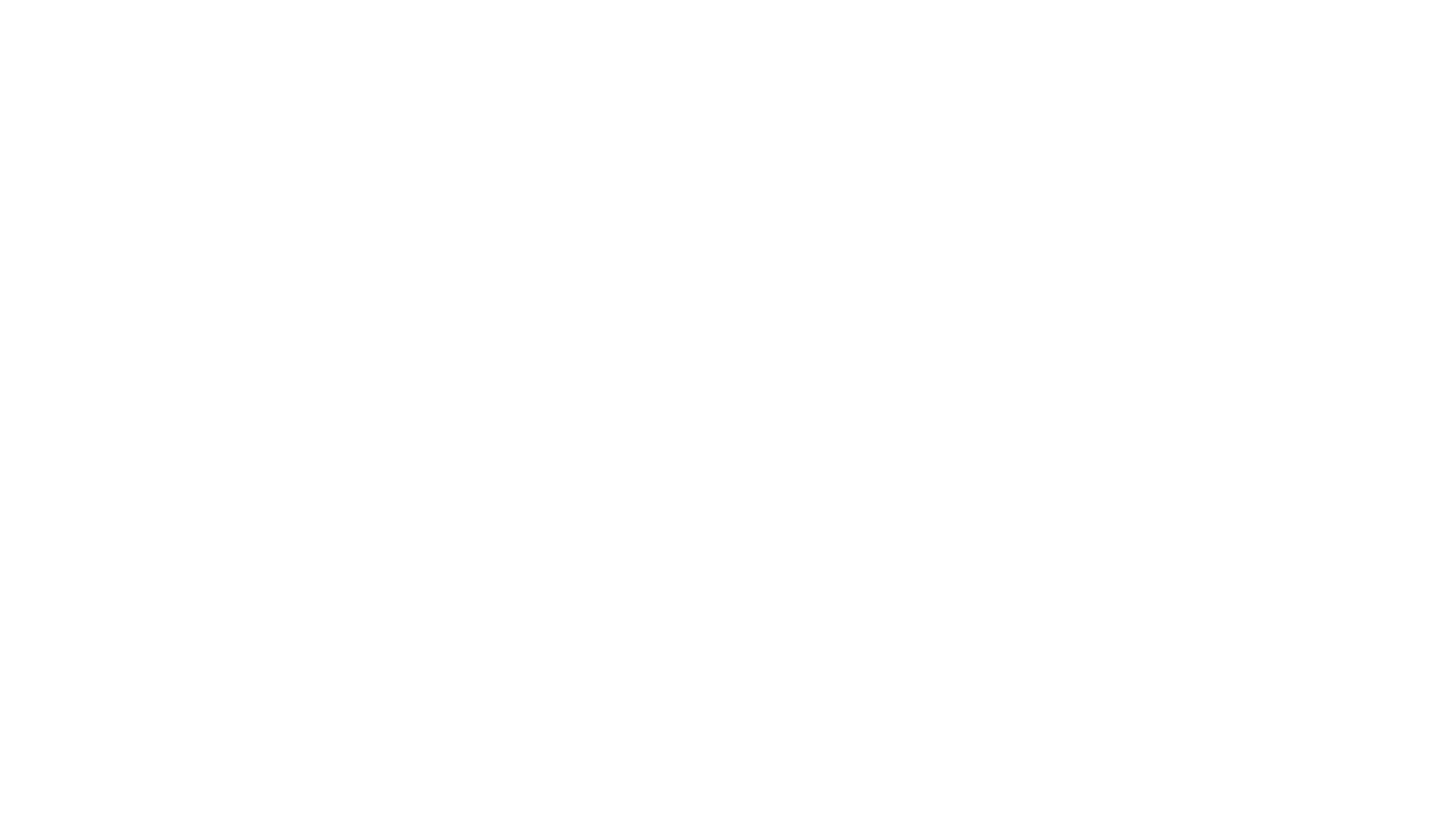 Selected partner logo 4