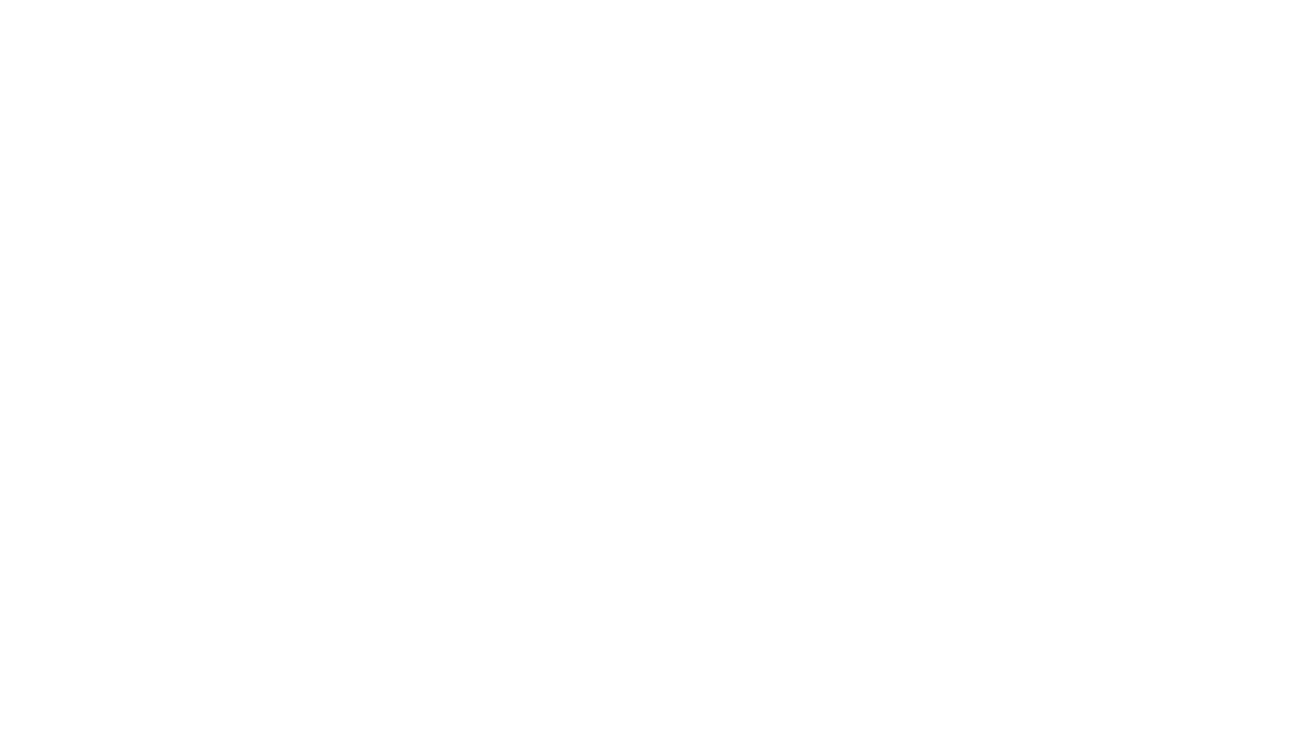 Selected partner logo 13