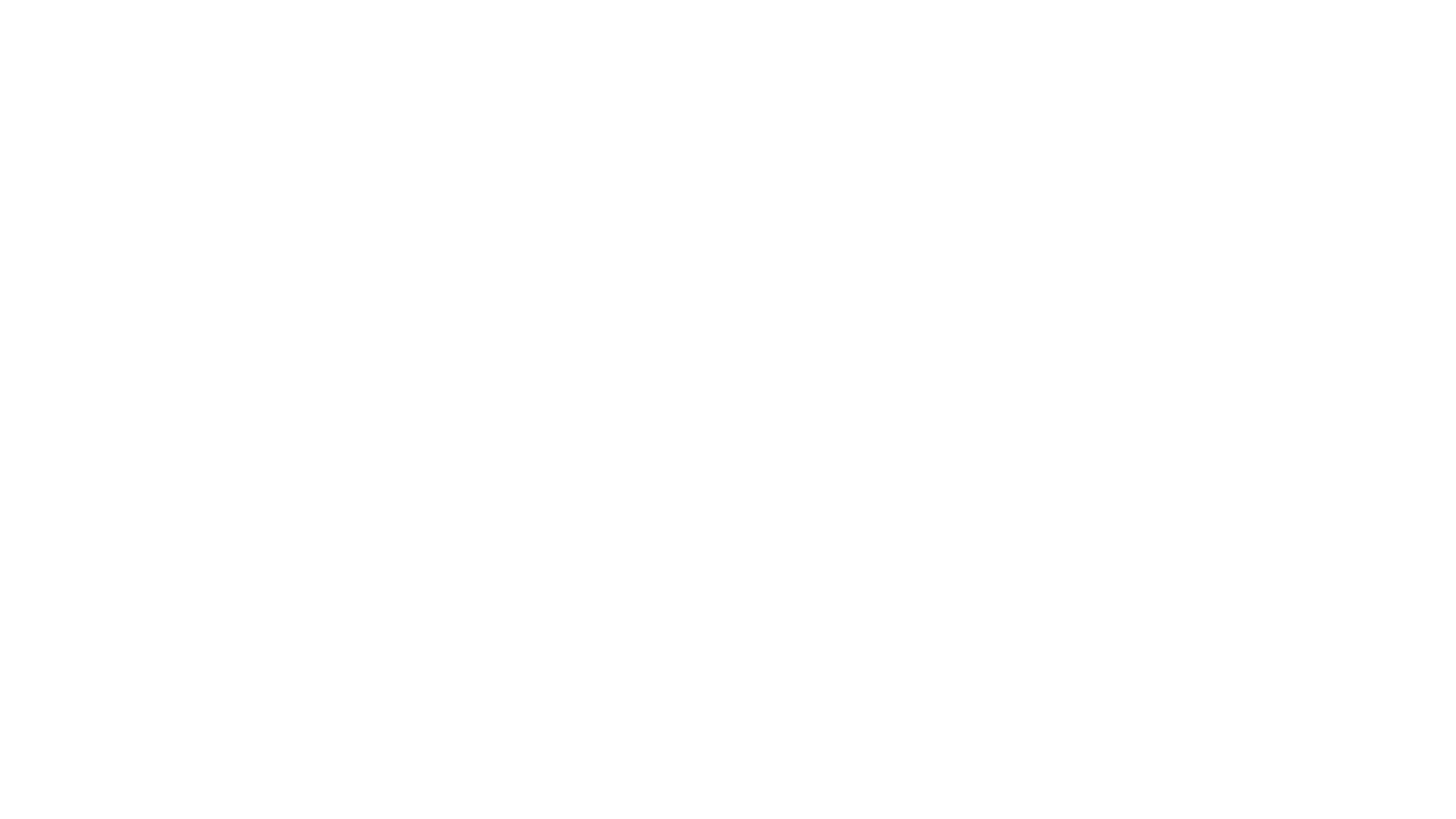 Selected partner logo 17
